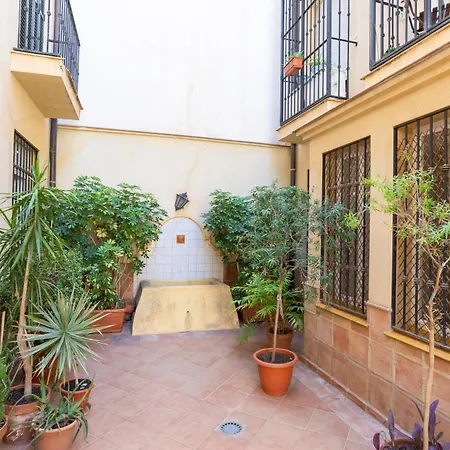 & Pool In Center Malaga